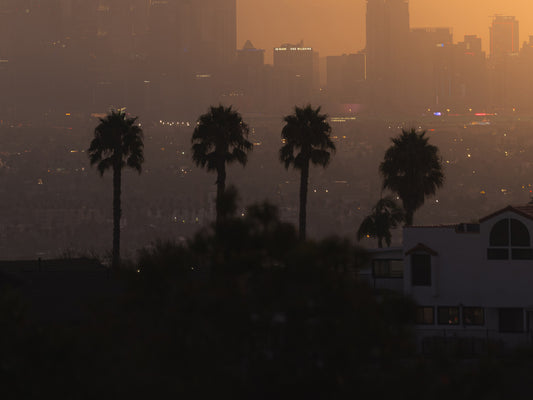 Los Angeles Skyline