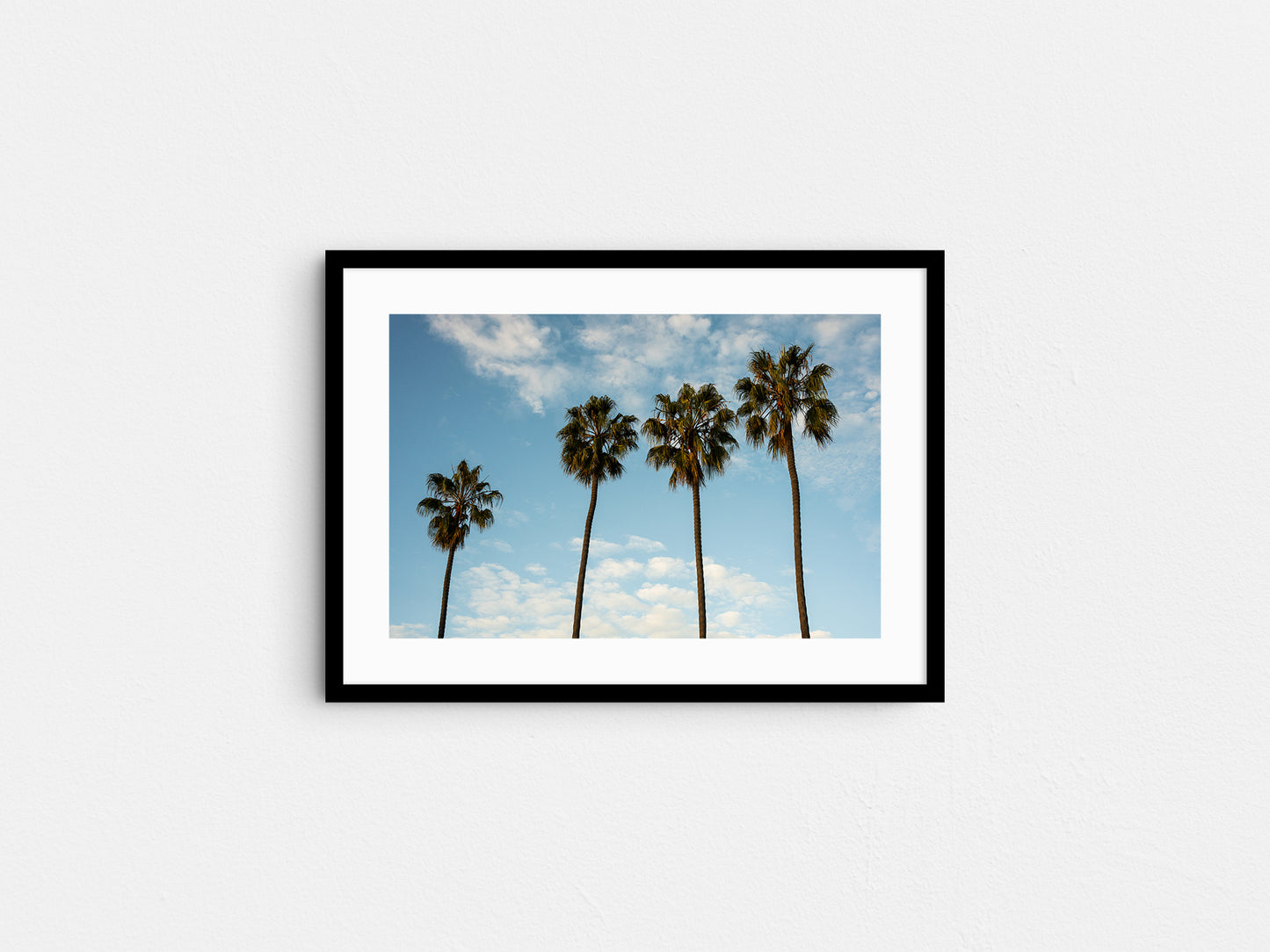 Cali Vibes