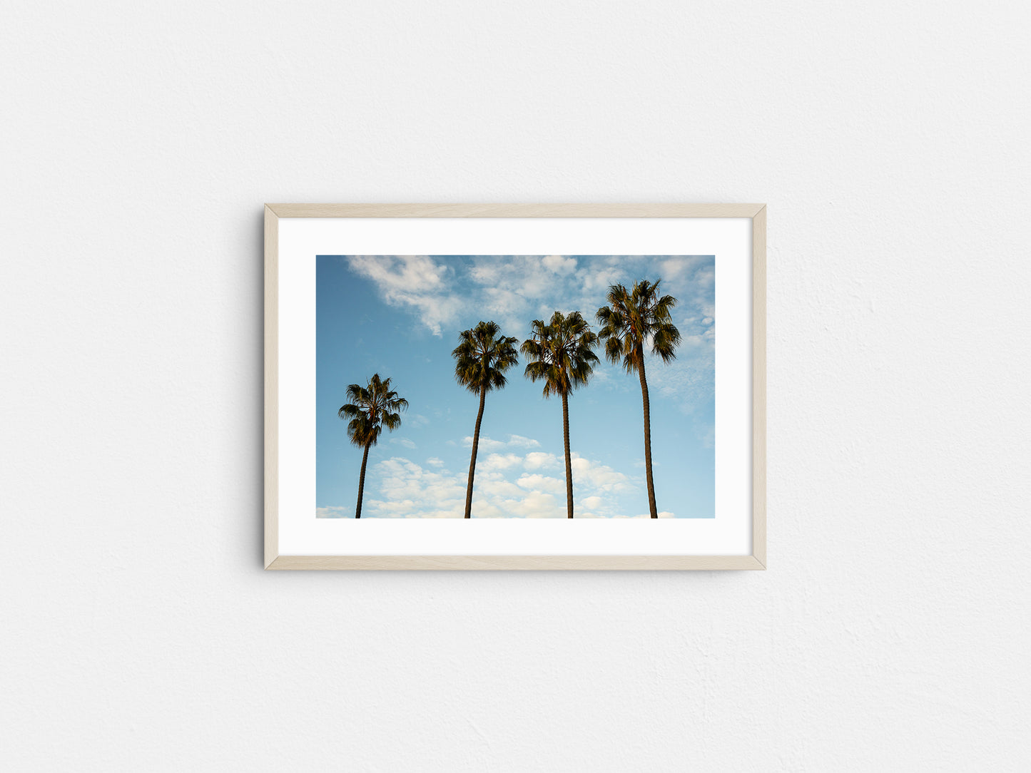 Cali Vibes