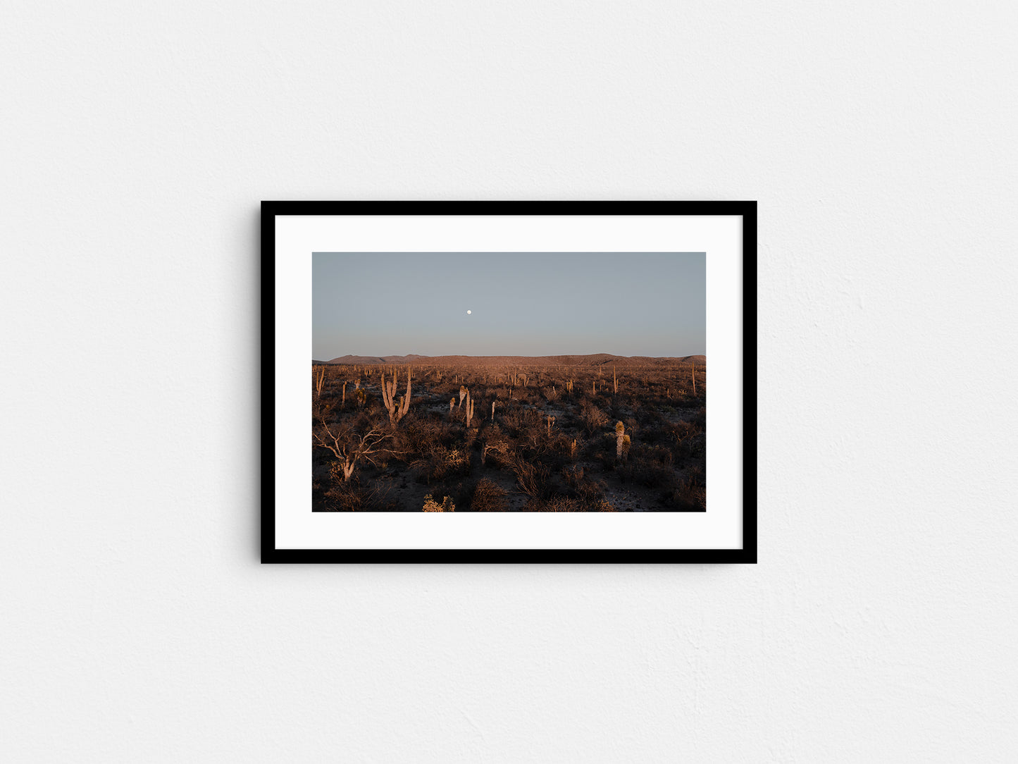 Moonrise in Baja