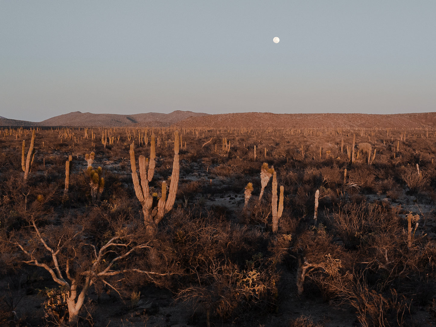 Moonrise in Baja