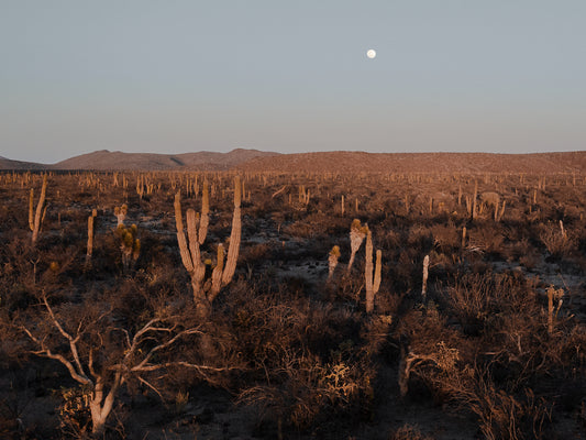 Moonrise in Baja