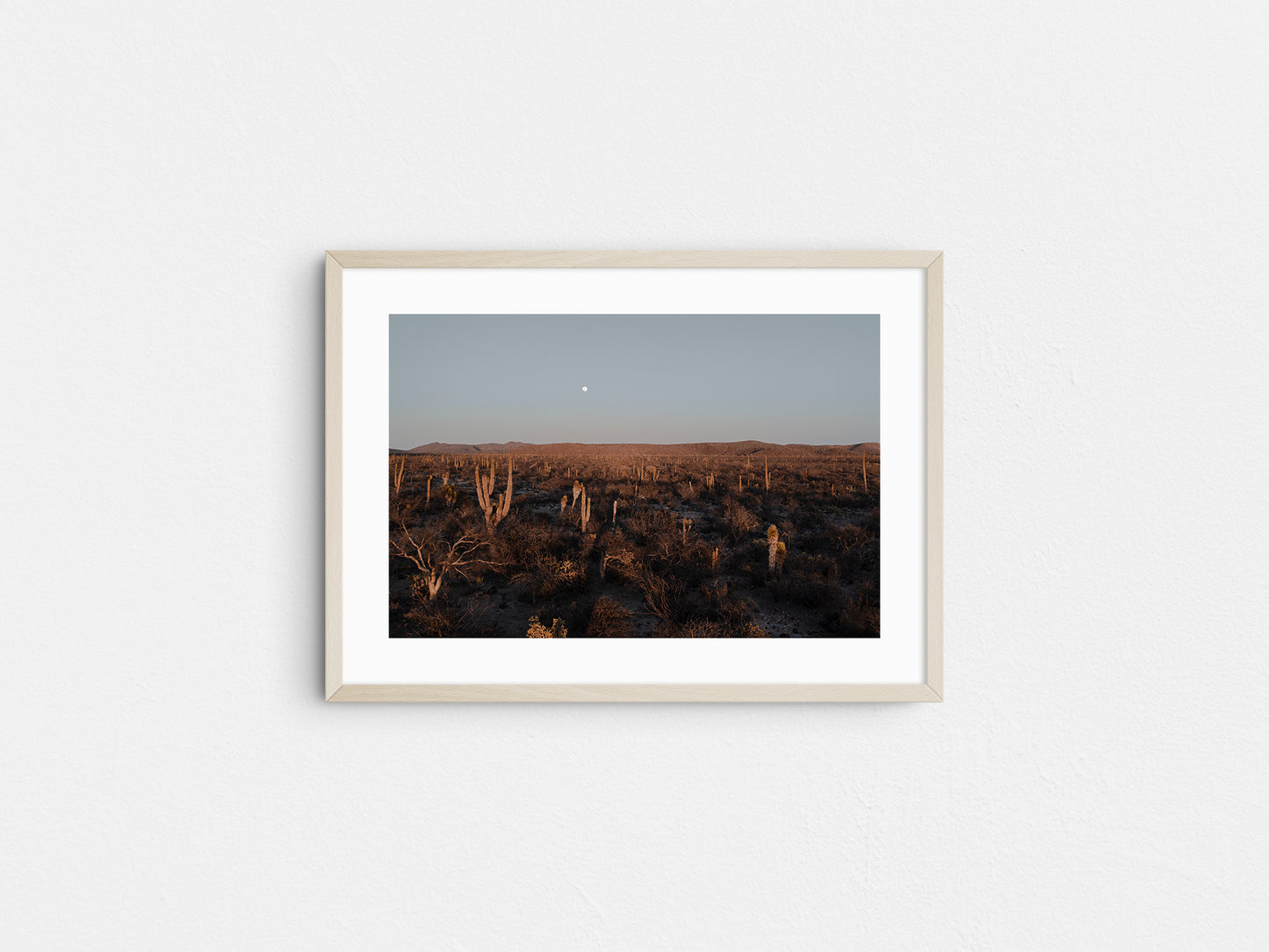 Moonrise in Baja