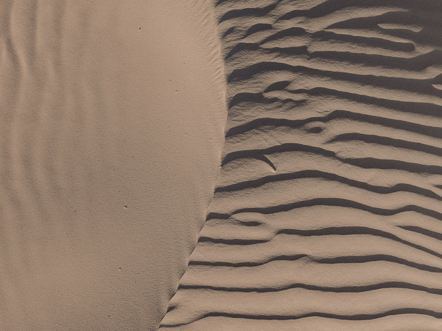 Dune Divide