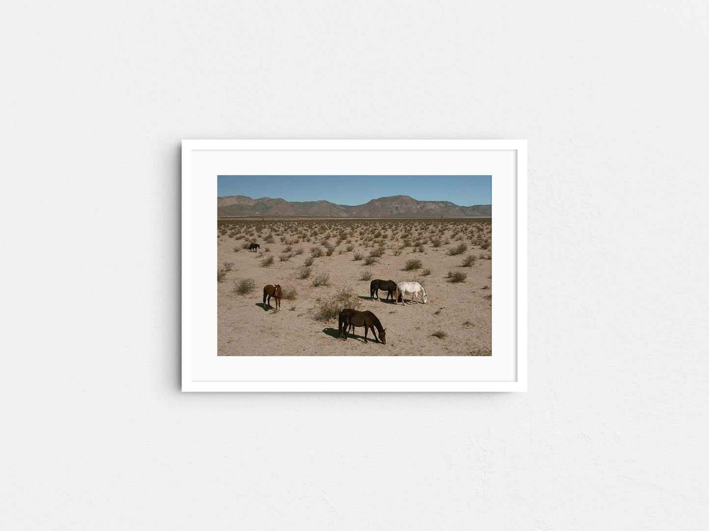 Desert Nomads