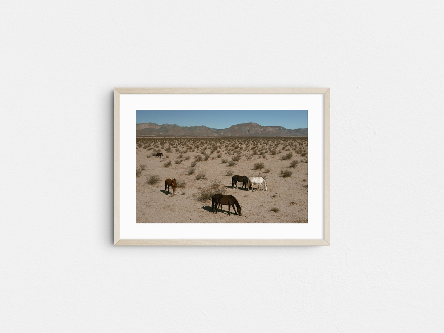Desert Nomads