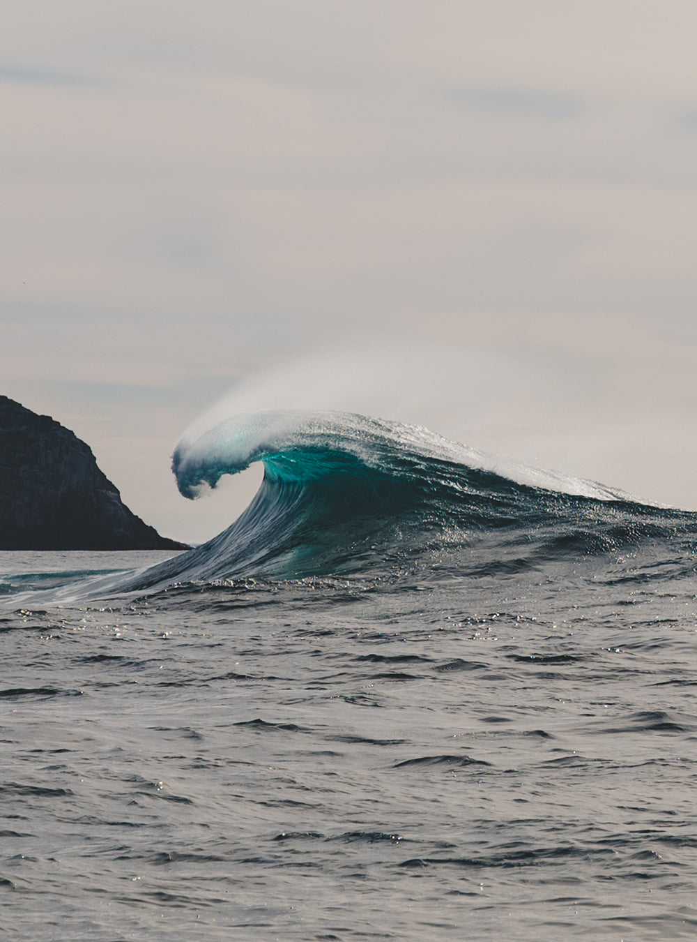 Surf