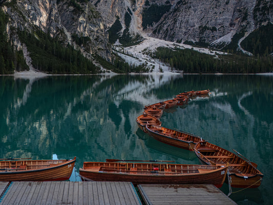 Wildsee