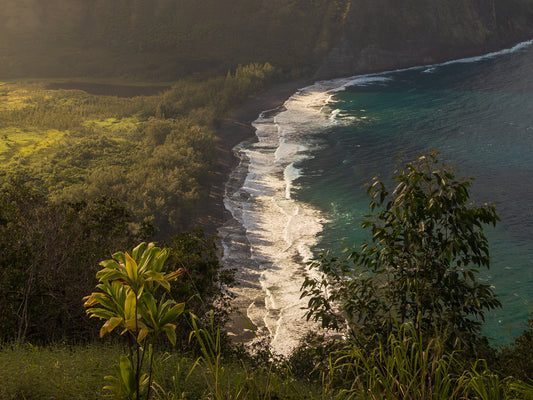 Hawaii Views