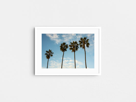 Cali Vibes
