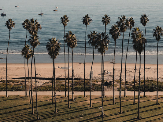 California Horizon