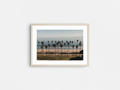 California Horizon