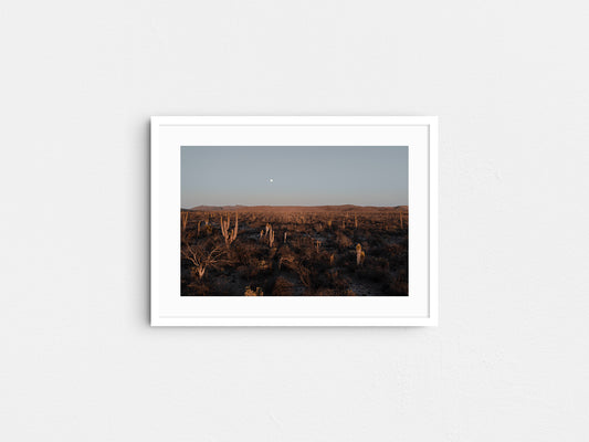 Moonrise in Baja