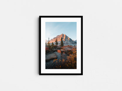 Fall Mountain