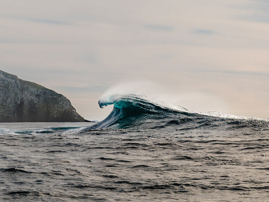 Lonely Wave