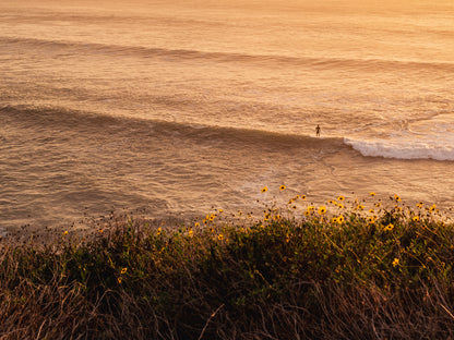 Golden Wave