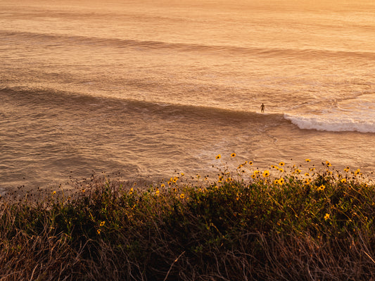 Golden Wave